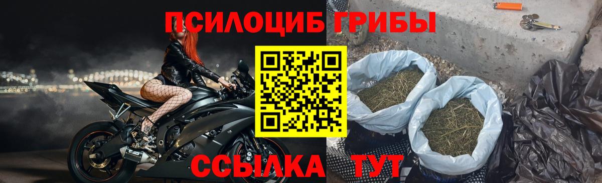 Псилоцибиновые грибы Magic Shrooms  Вход с VPN  Кандалакша 