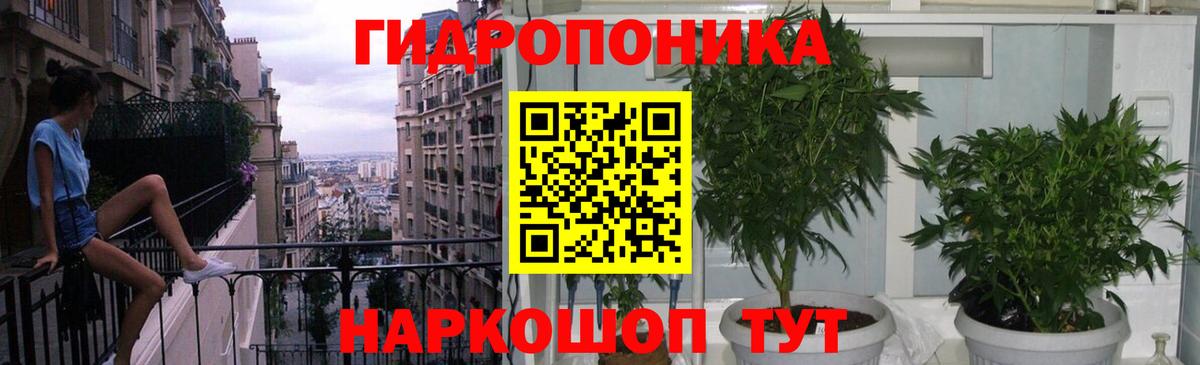 Конопля семена Кандалакша